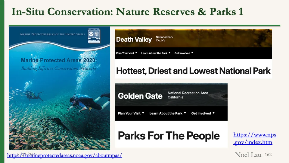 Slide 162