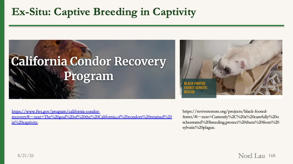 Slide 168