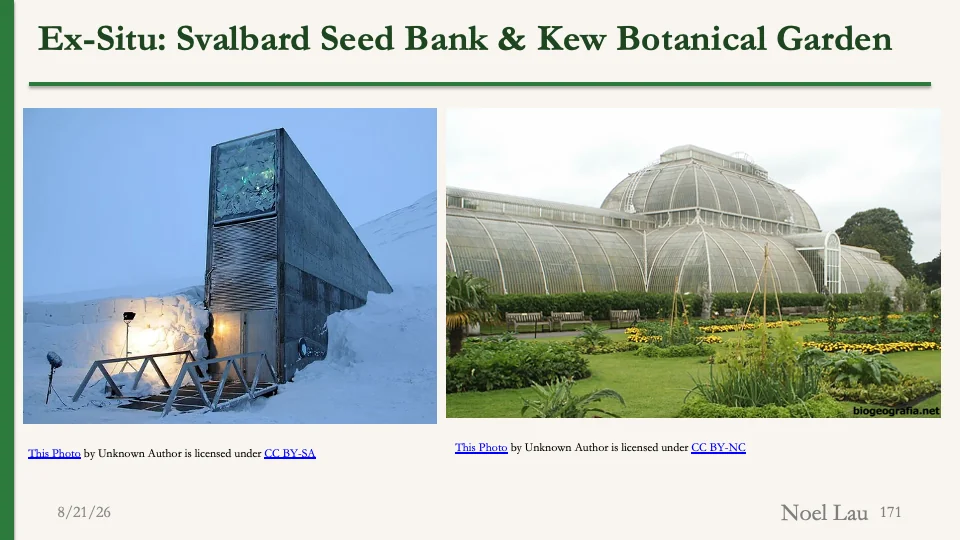 Slide 171