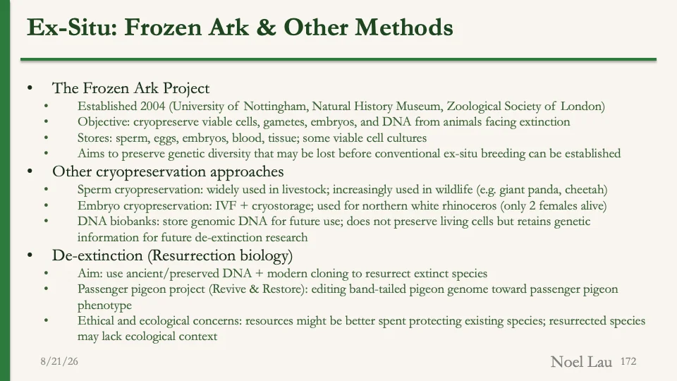 Slide 172