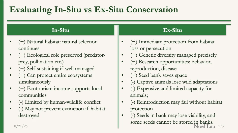 Slide 173