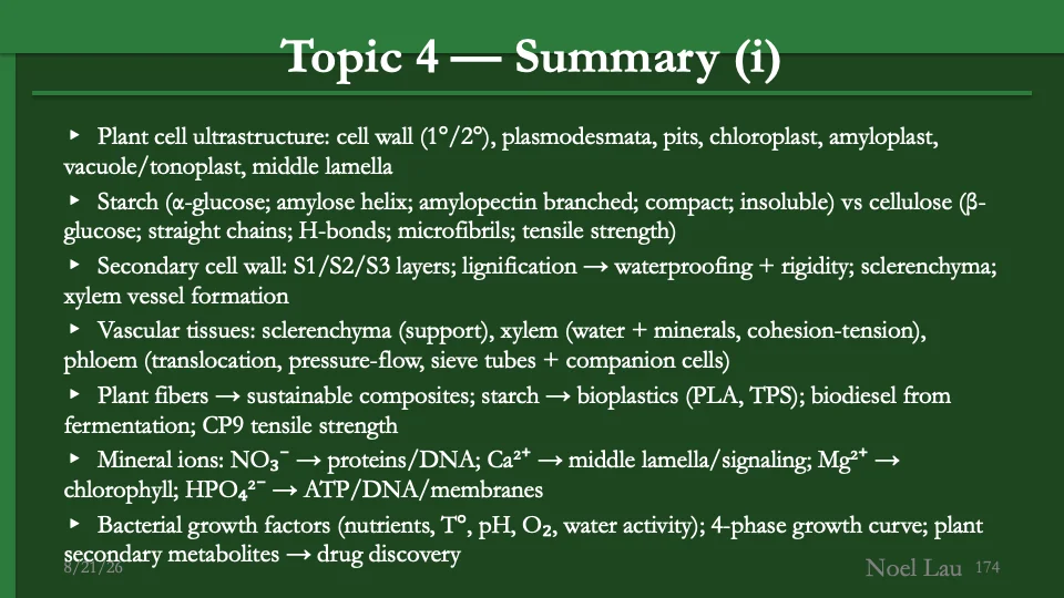 Slide 174