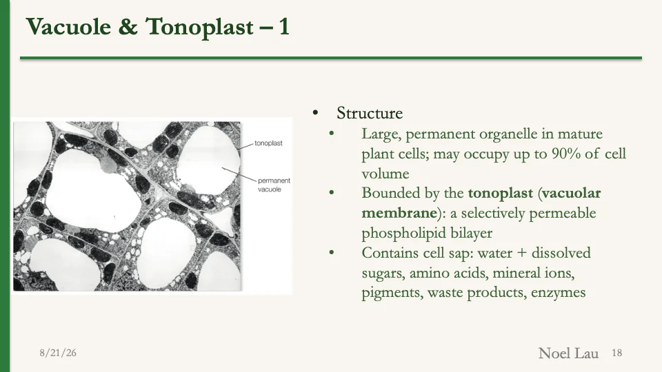 Slide 18
