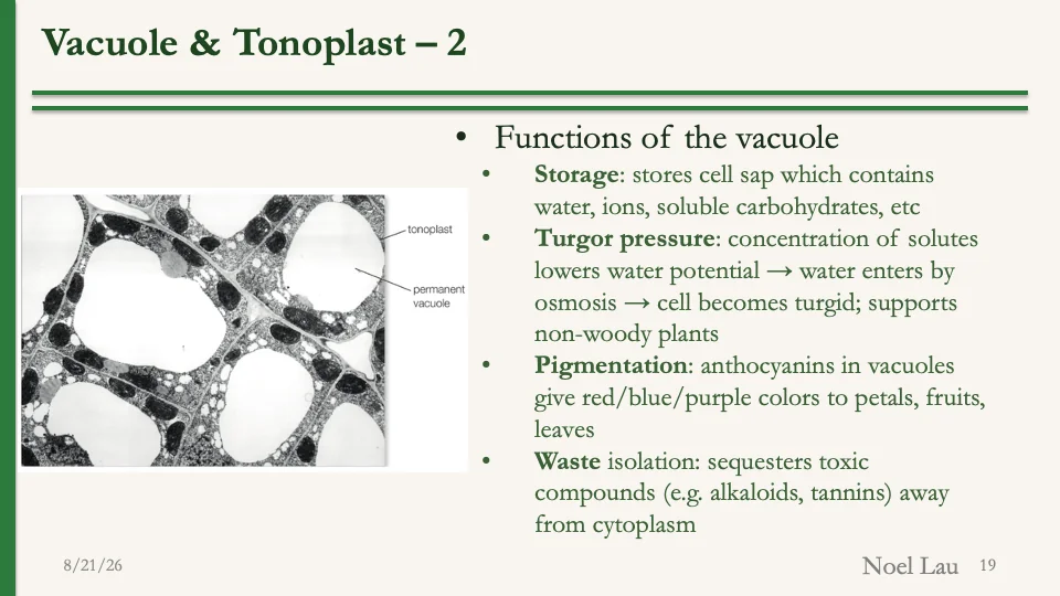Slide 19