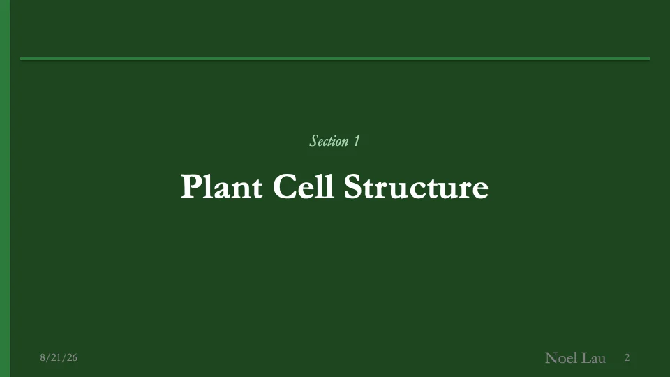 Slide 2