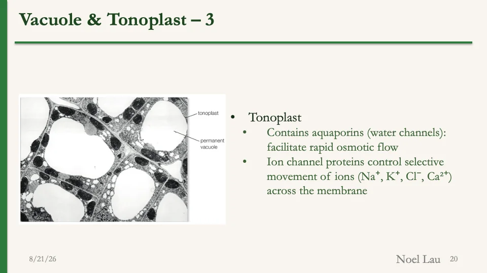 Slide 20