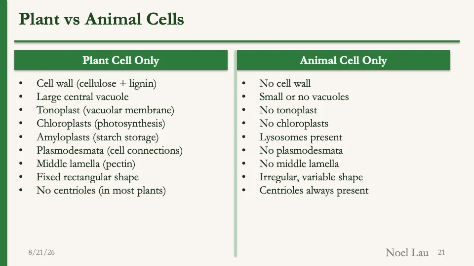 Slide 21