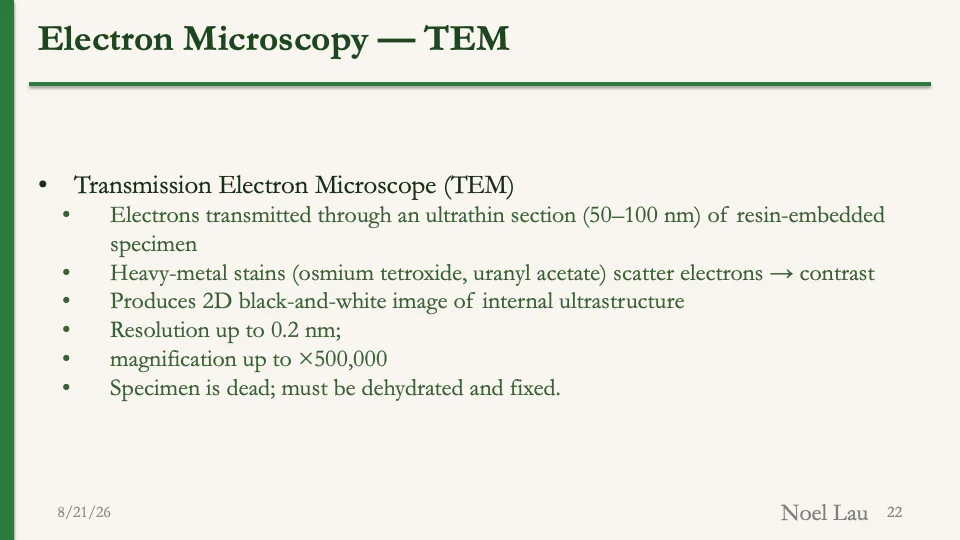 Slide 22