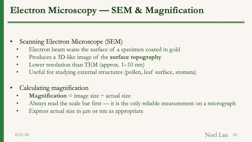 Slide 23