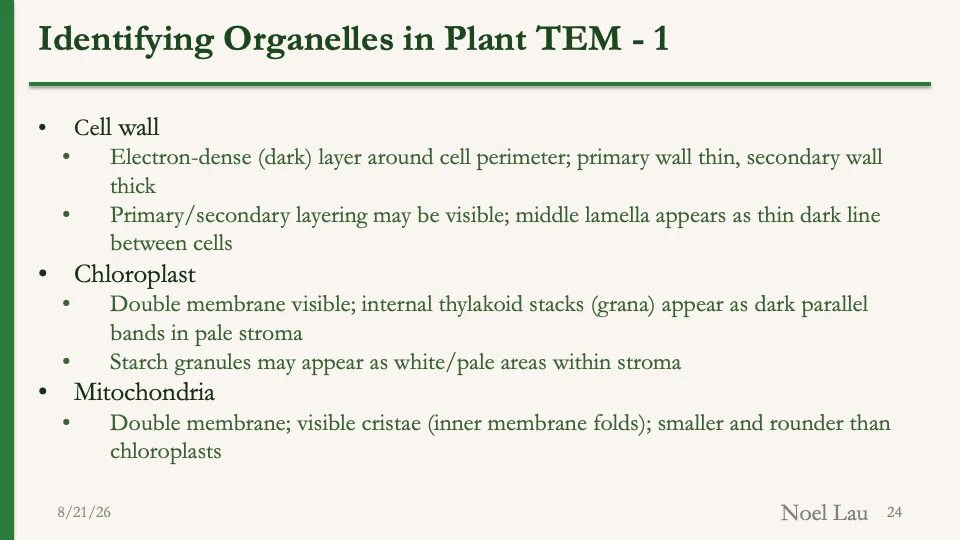 Slide 24