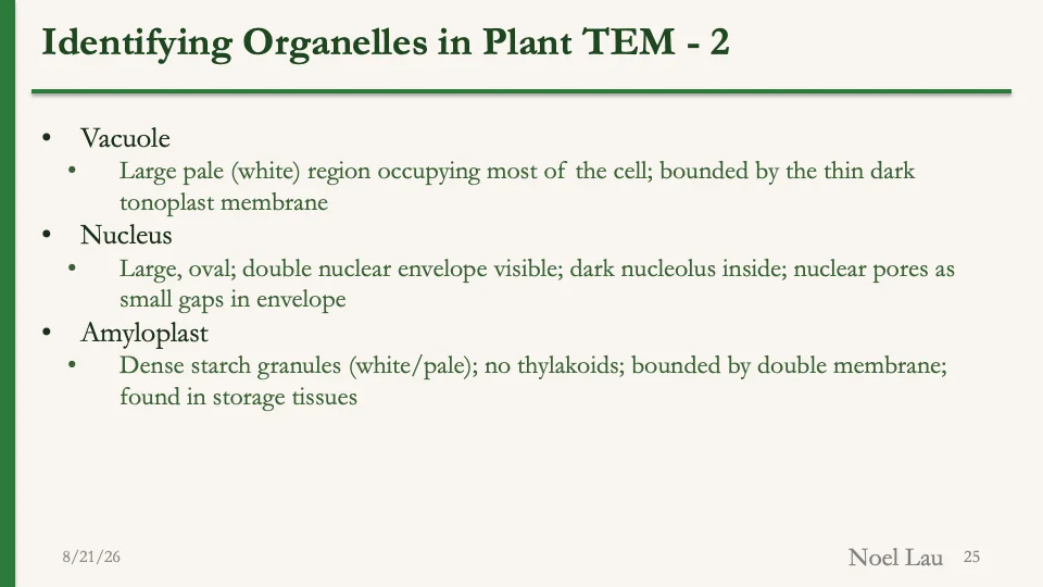 Slide 25