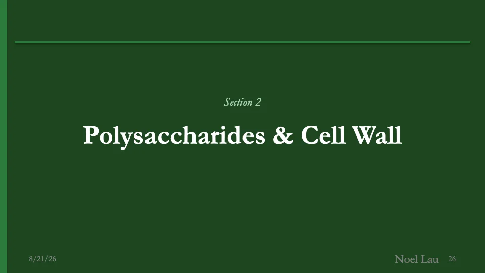 Slide 26