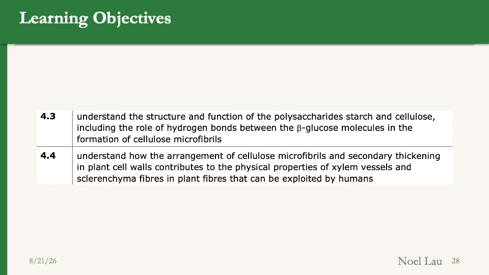 Slide 28