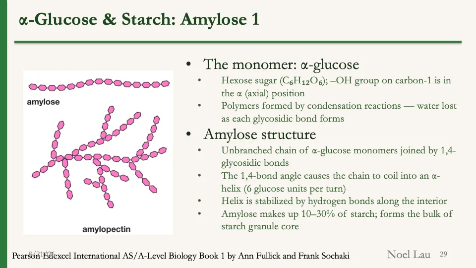 Slide 29