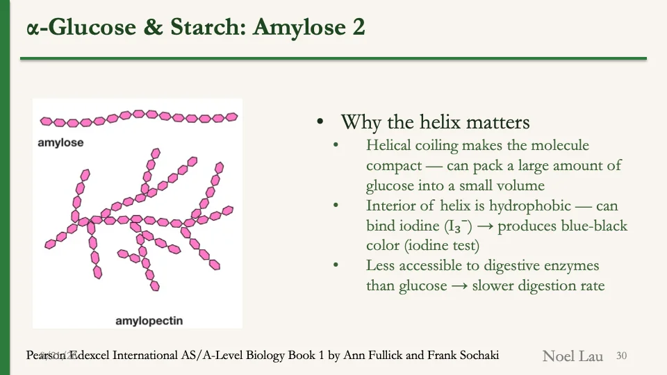 Slide 30
