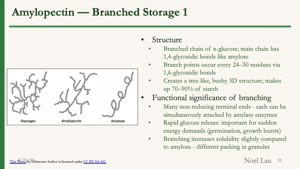 Slide 31