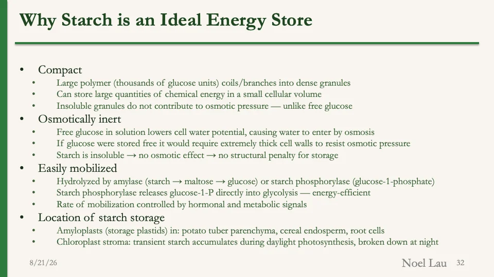 Slide 32