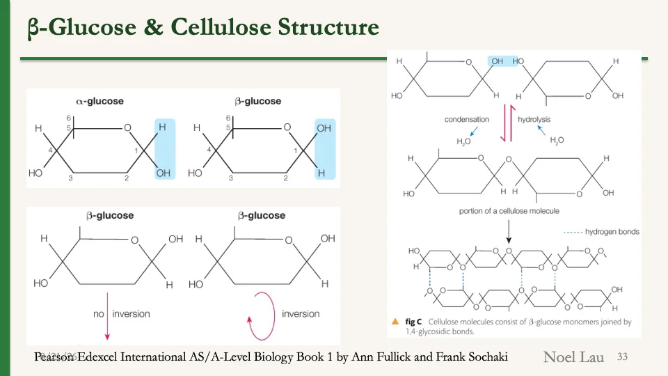 Slide 33