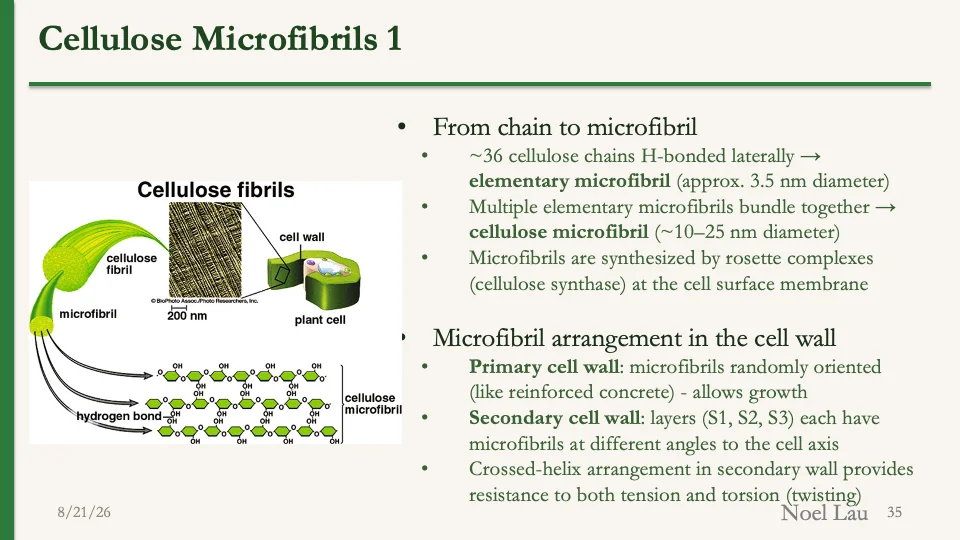 Slide 35