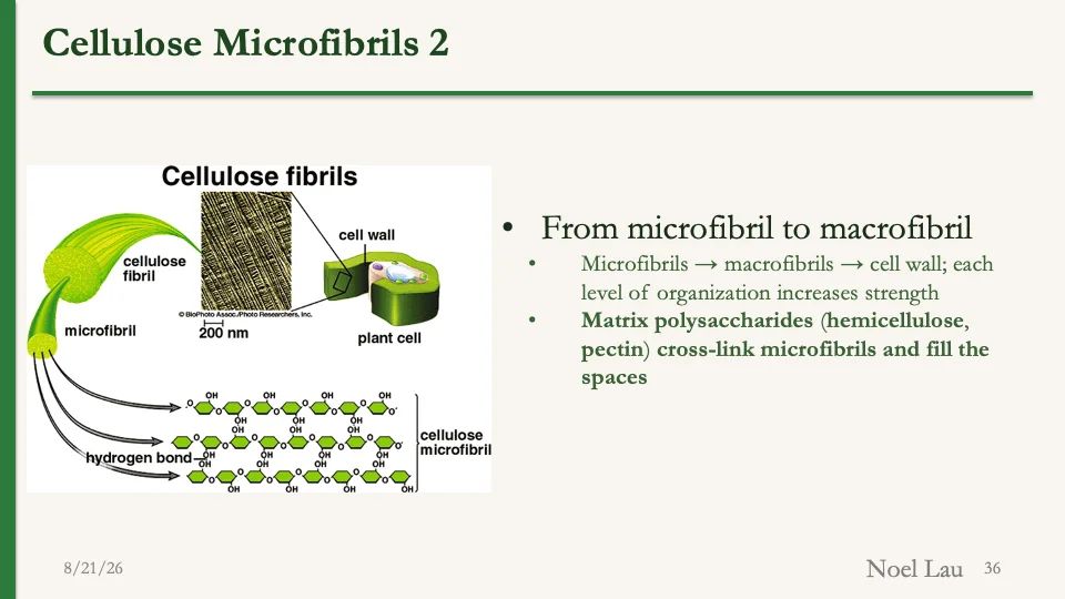 Slide 36