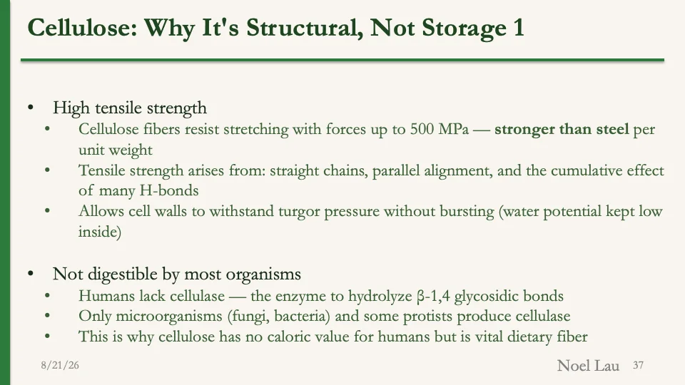 Slide 37