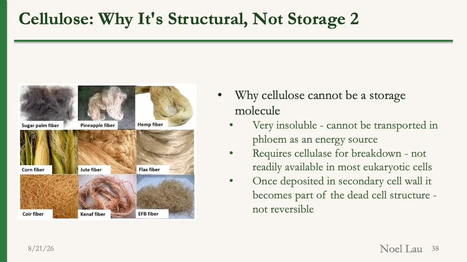 Slide 38