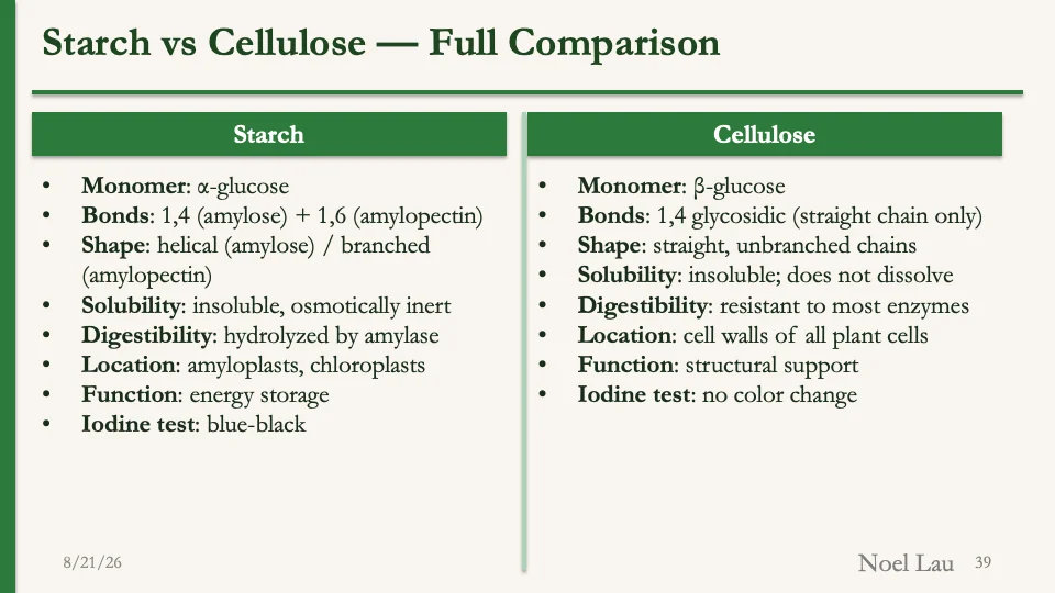 Slide 39