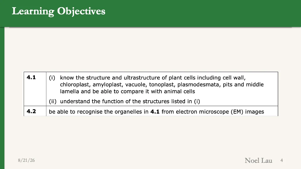 Slide 4