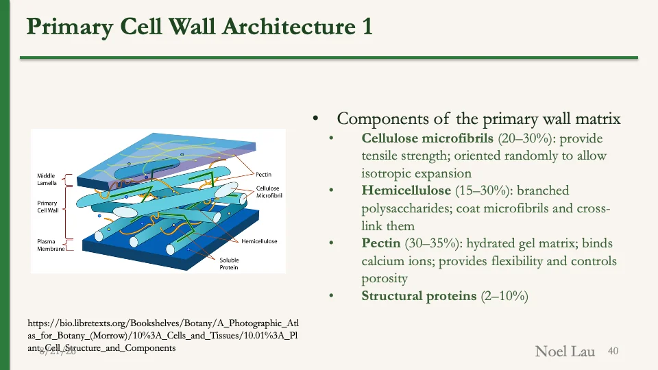 Slide 40
