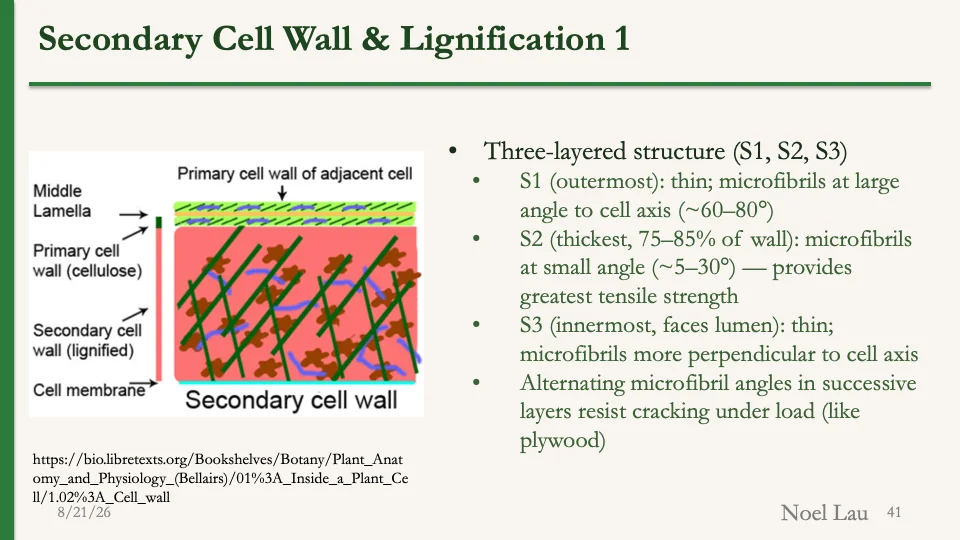 Slide 41