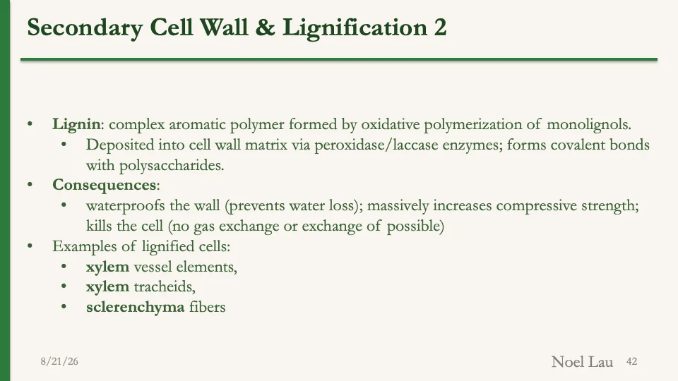 Slide 42