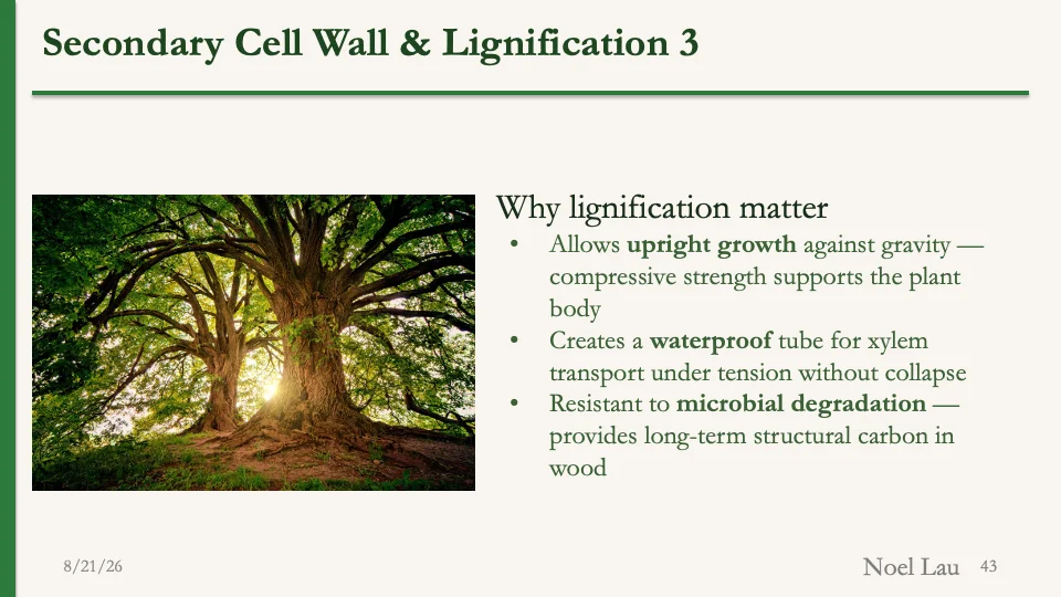 Slide 43