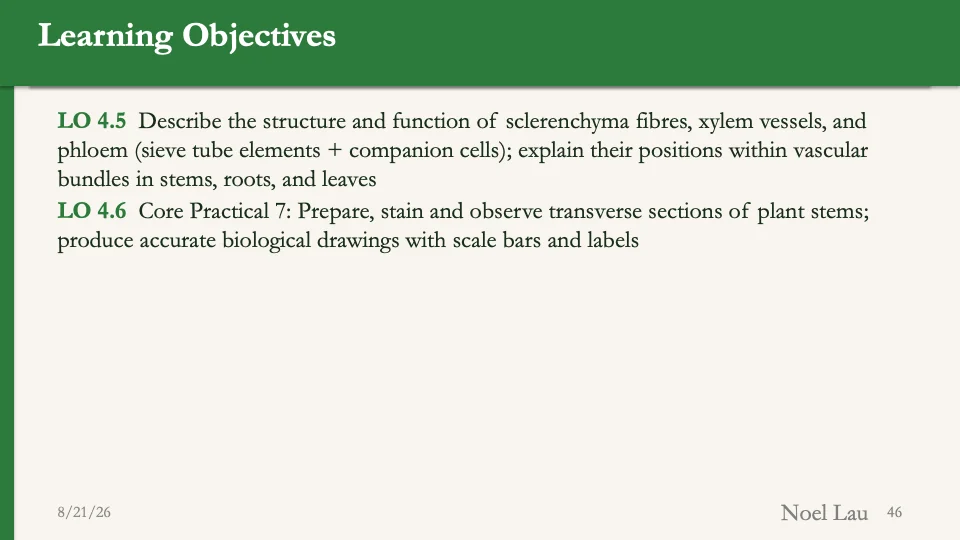 Slide 46