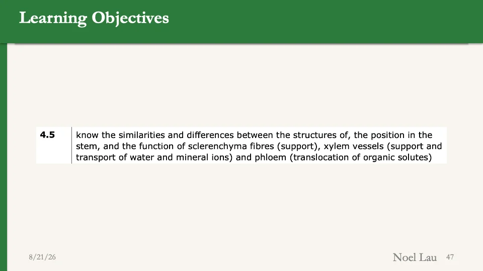 Slide 47
