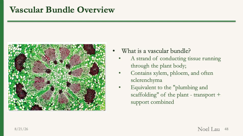 Slide 48