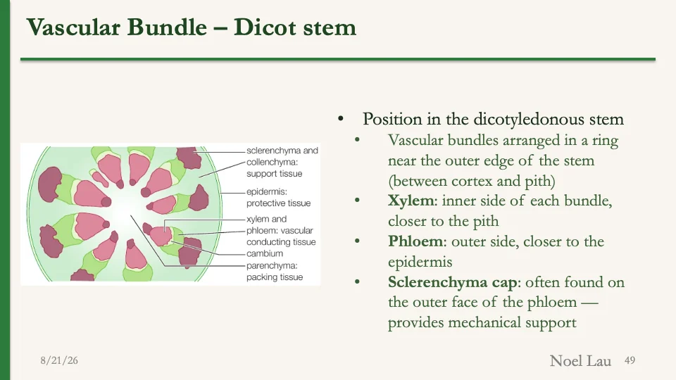 Slide 49