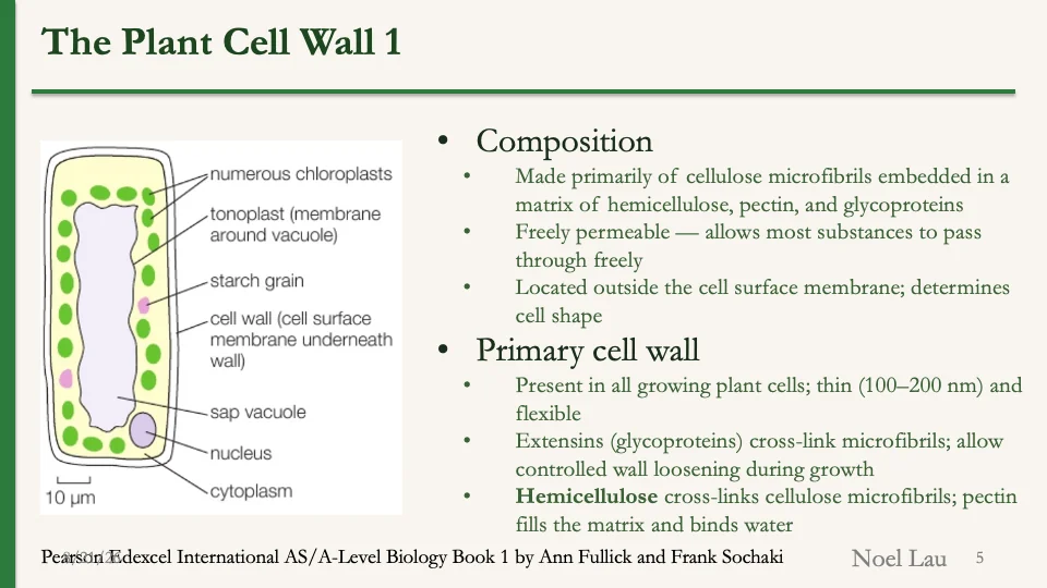 Slide 5