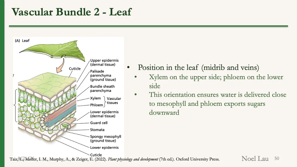 Slide 50