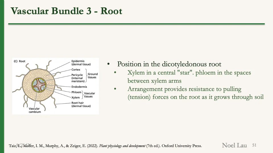 Slide 51