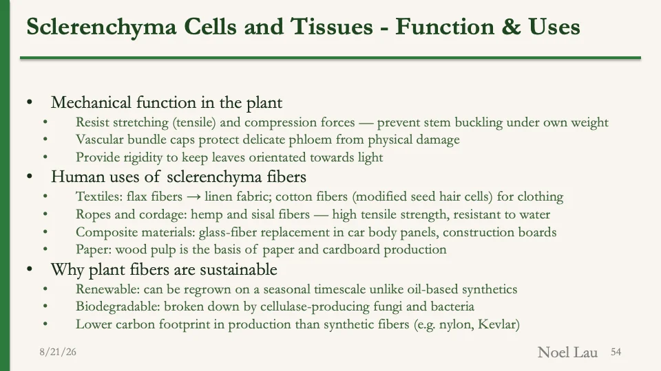 Slide 54