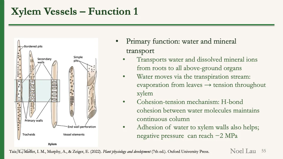 Slide 55