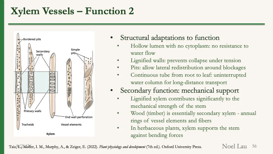 Slide 56
