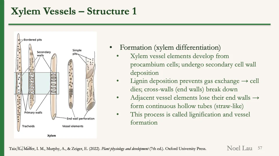 Slide 57