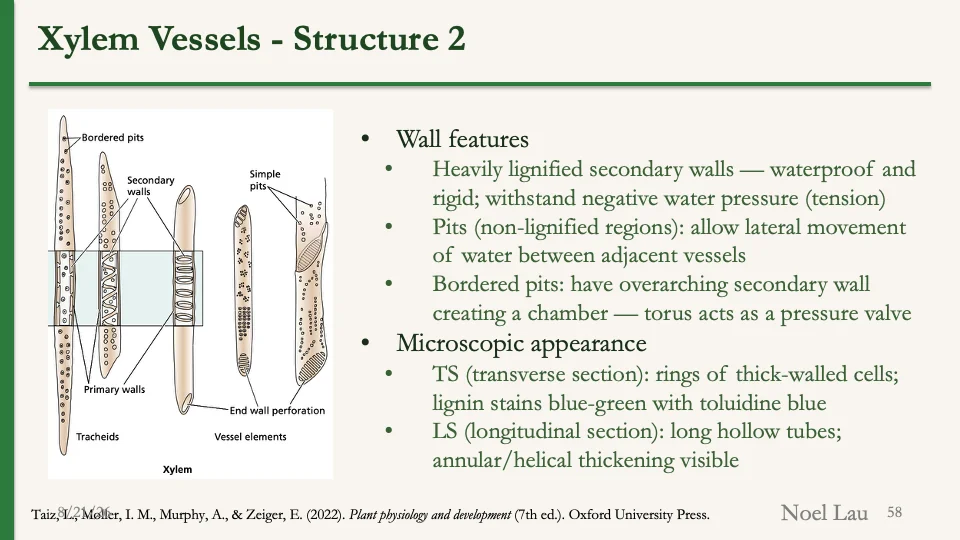 Slide 58