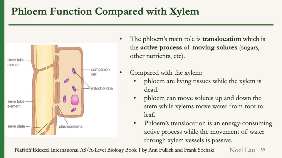 Slide 59