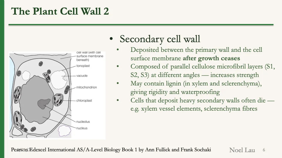 Slide 6