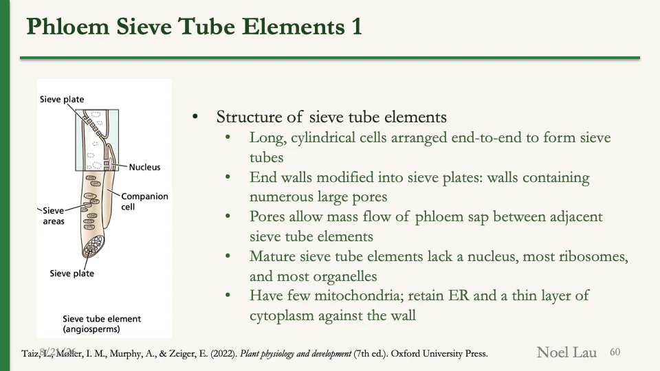 Slide 60