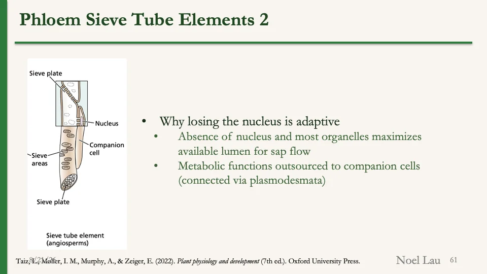 Slide 61