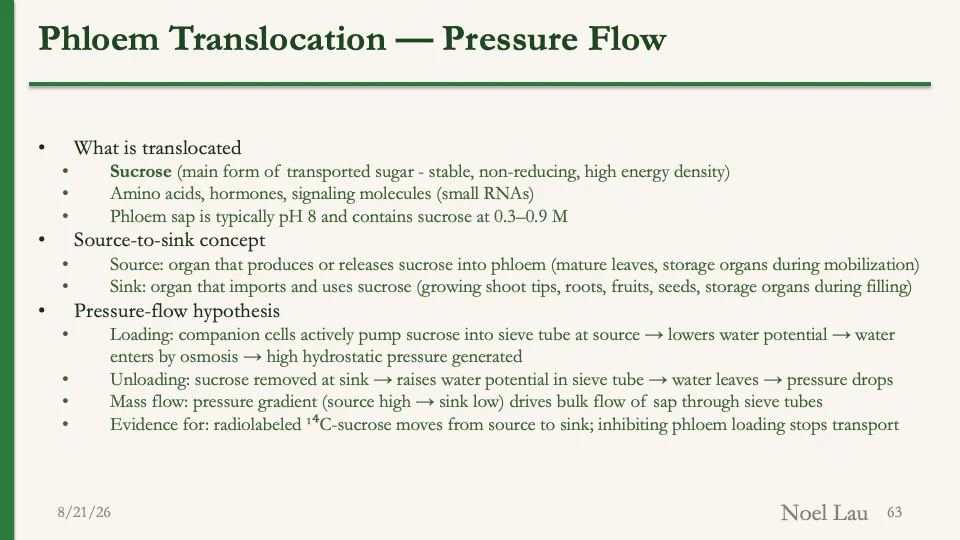 Slide 63