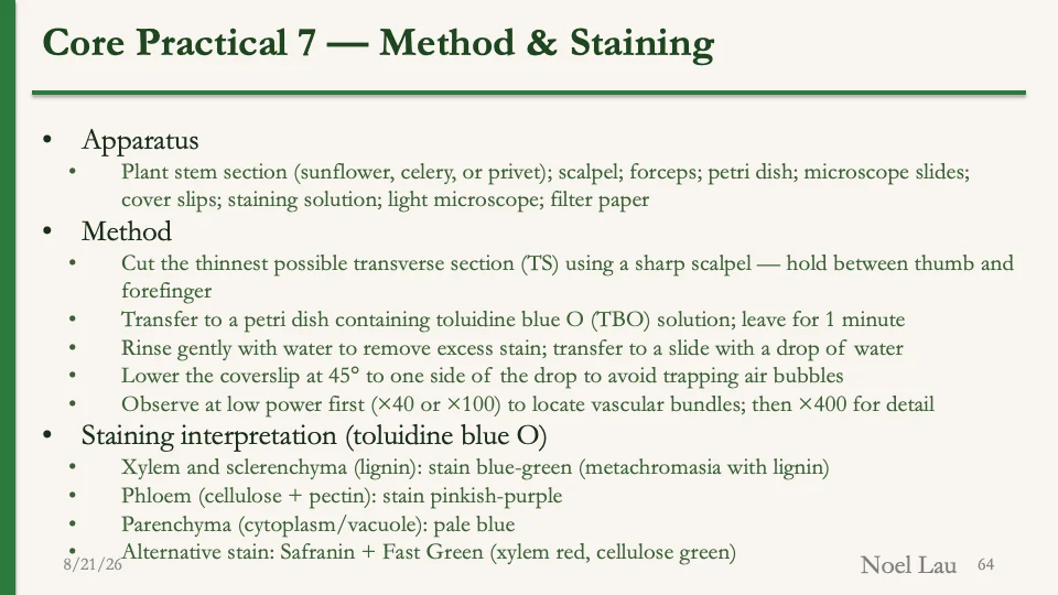 Slide 64